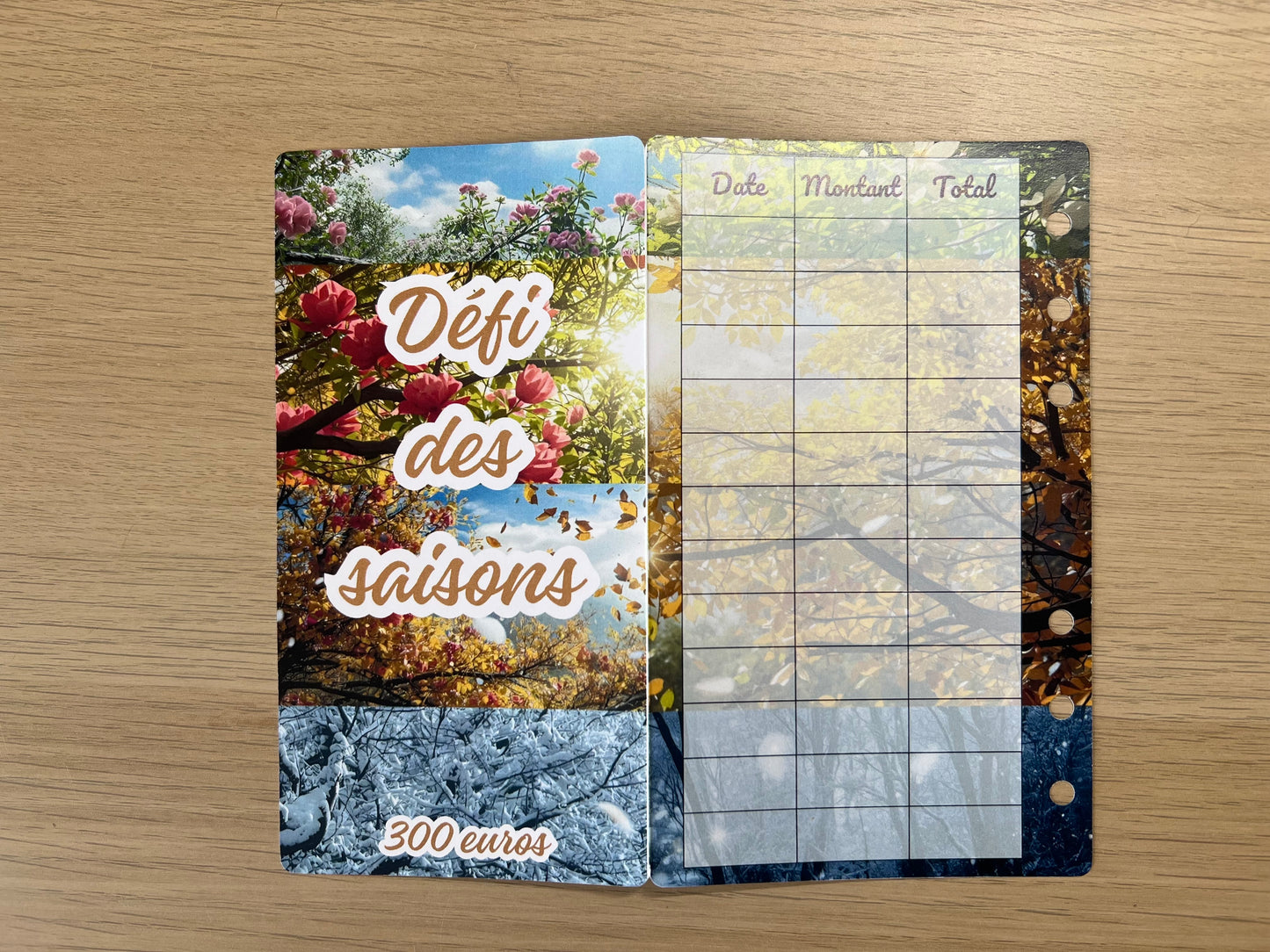 Défi des saisons et des mois à gratter 300€