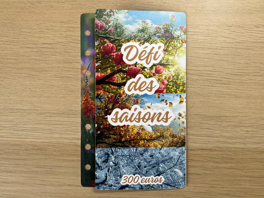 Défi des saisons et des mois à gratter 300€