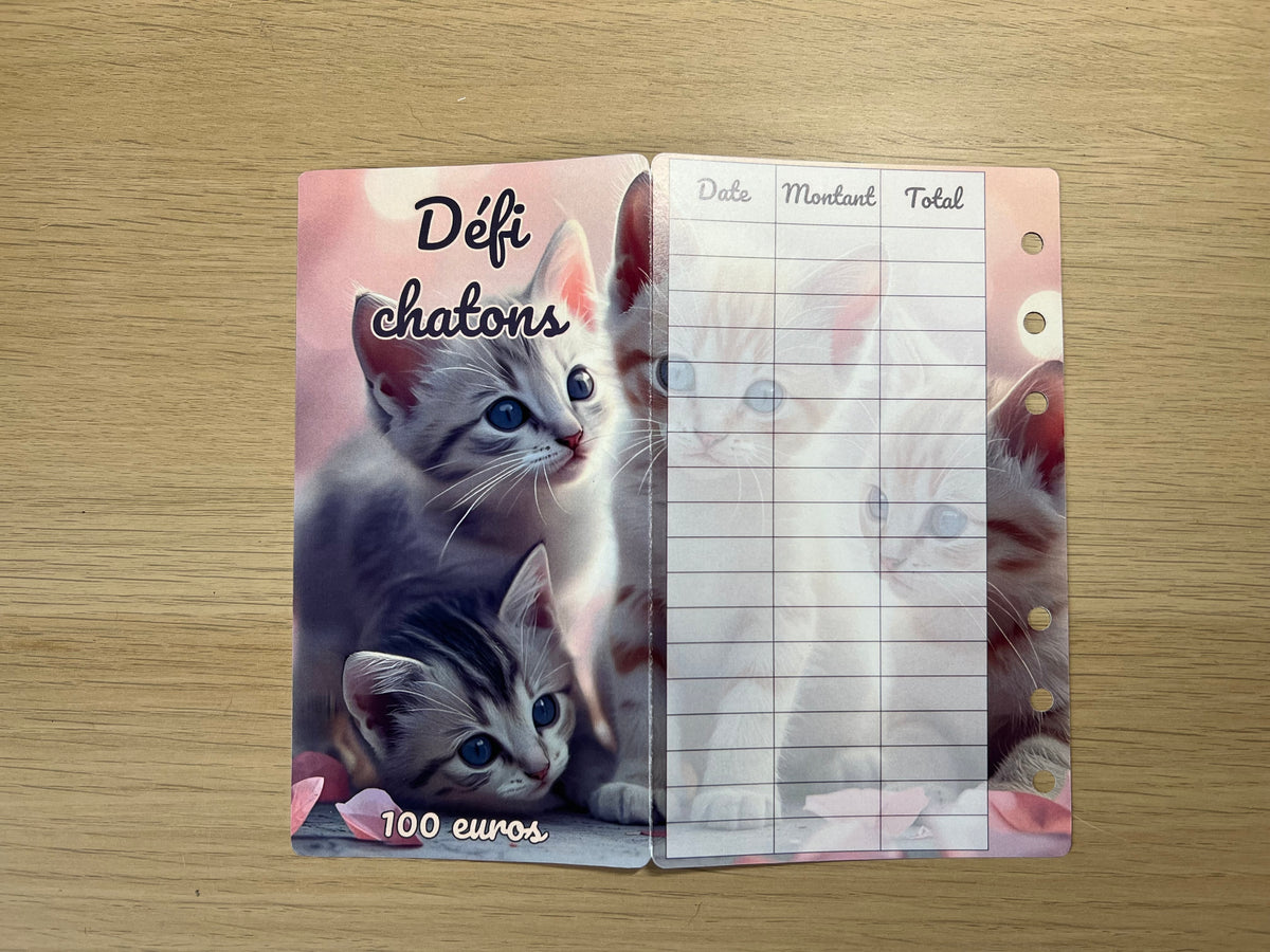 Défi à gratter chatons 100€