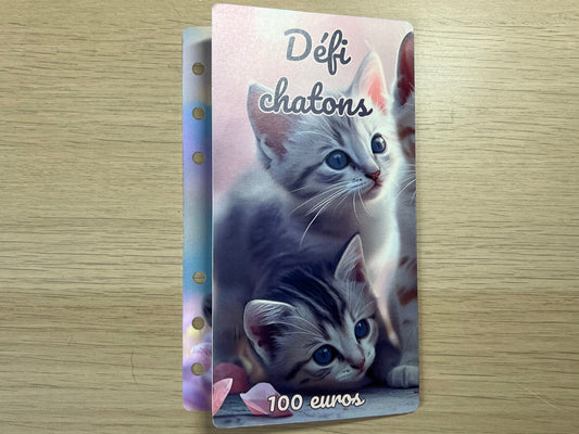 Défi à gratter chatons 100€