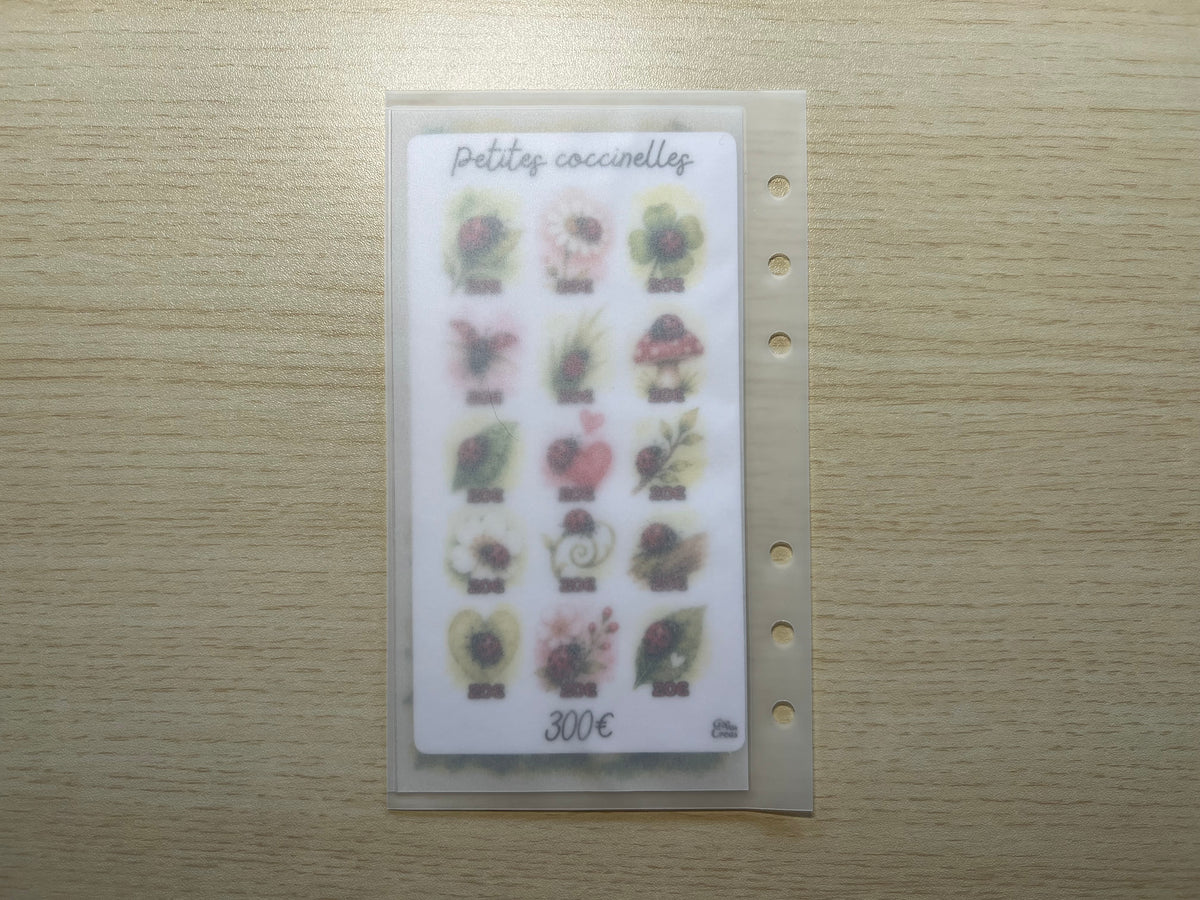 A6 Défi budget coccinelles