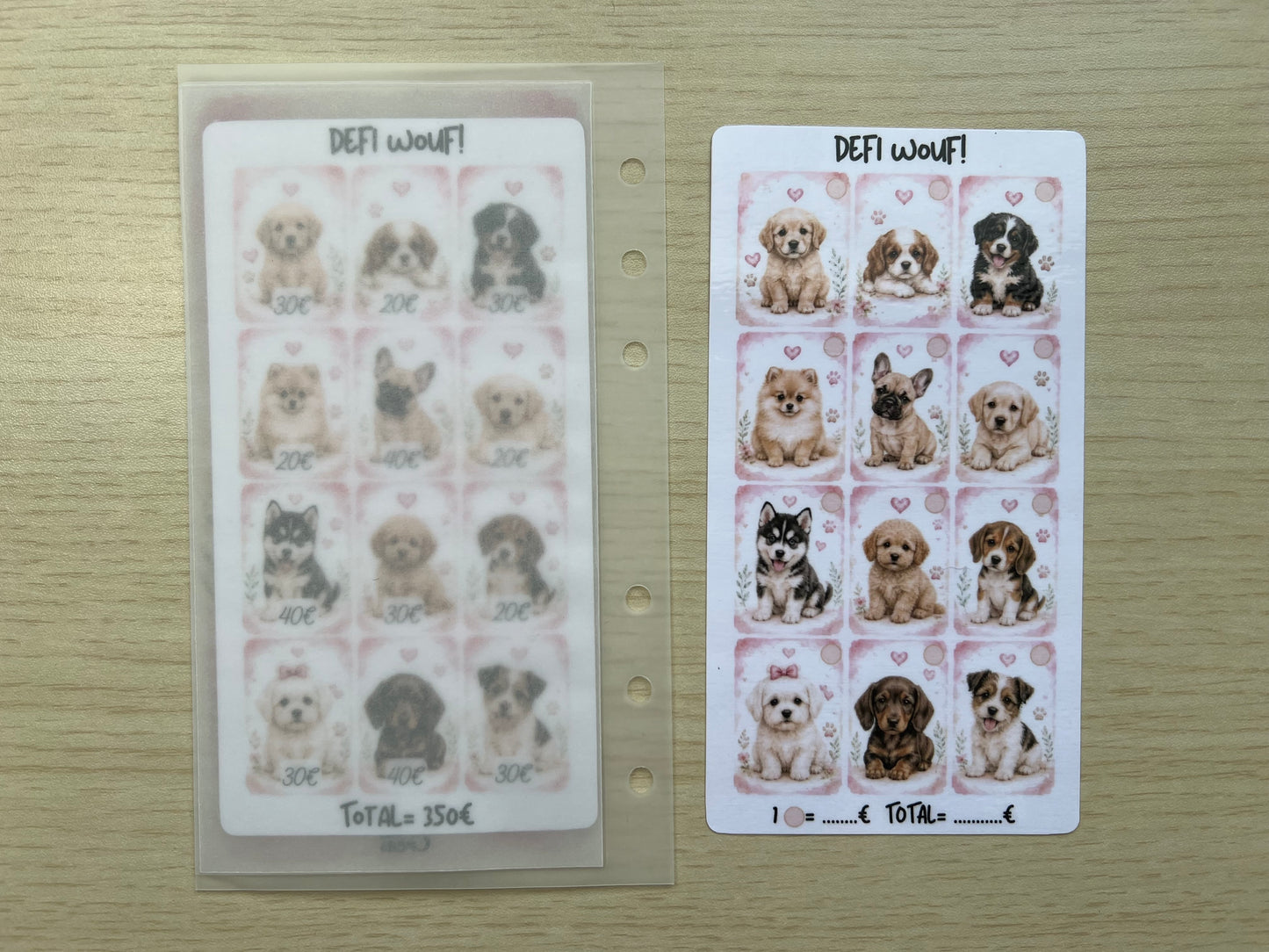 A6 Défi budget chiens