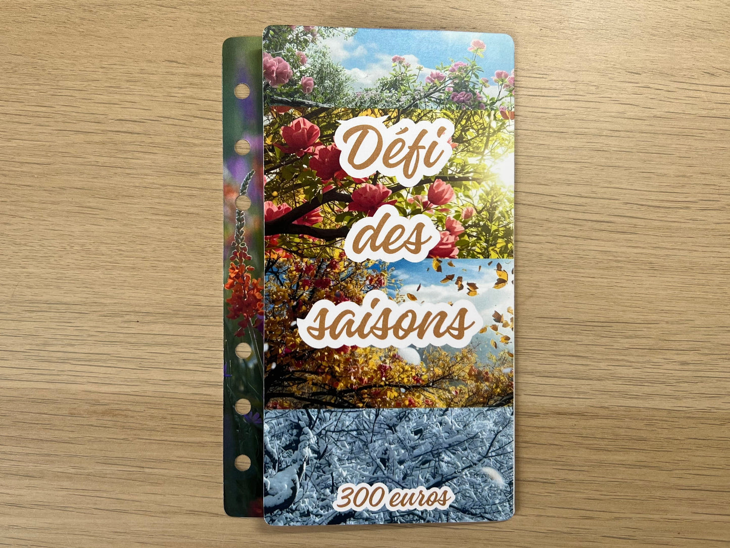 Défi des saisons et des mois à gratter 300€