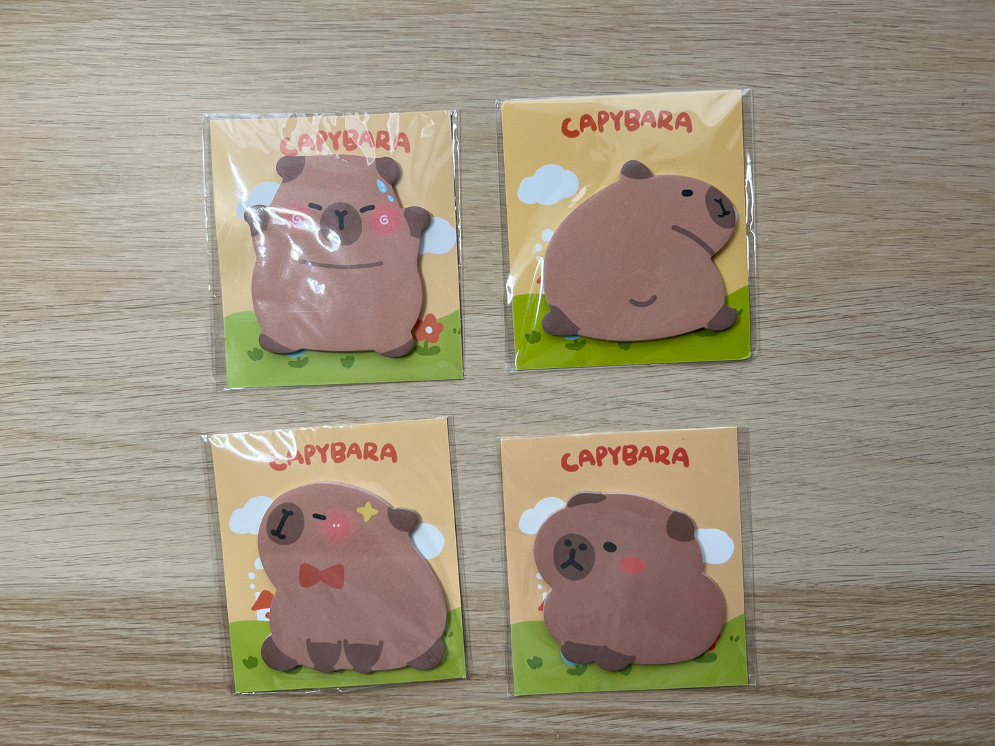 Box budget, défi et papeterie Capybara