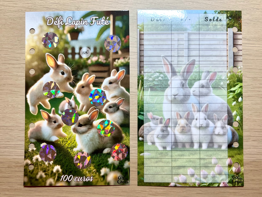 Lapins défi A6 100€