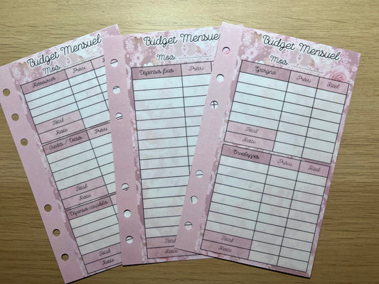 A6 3 fiches suivi budget mensuel plastifiées perforées