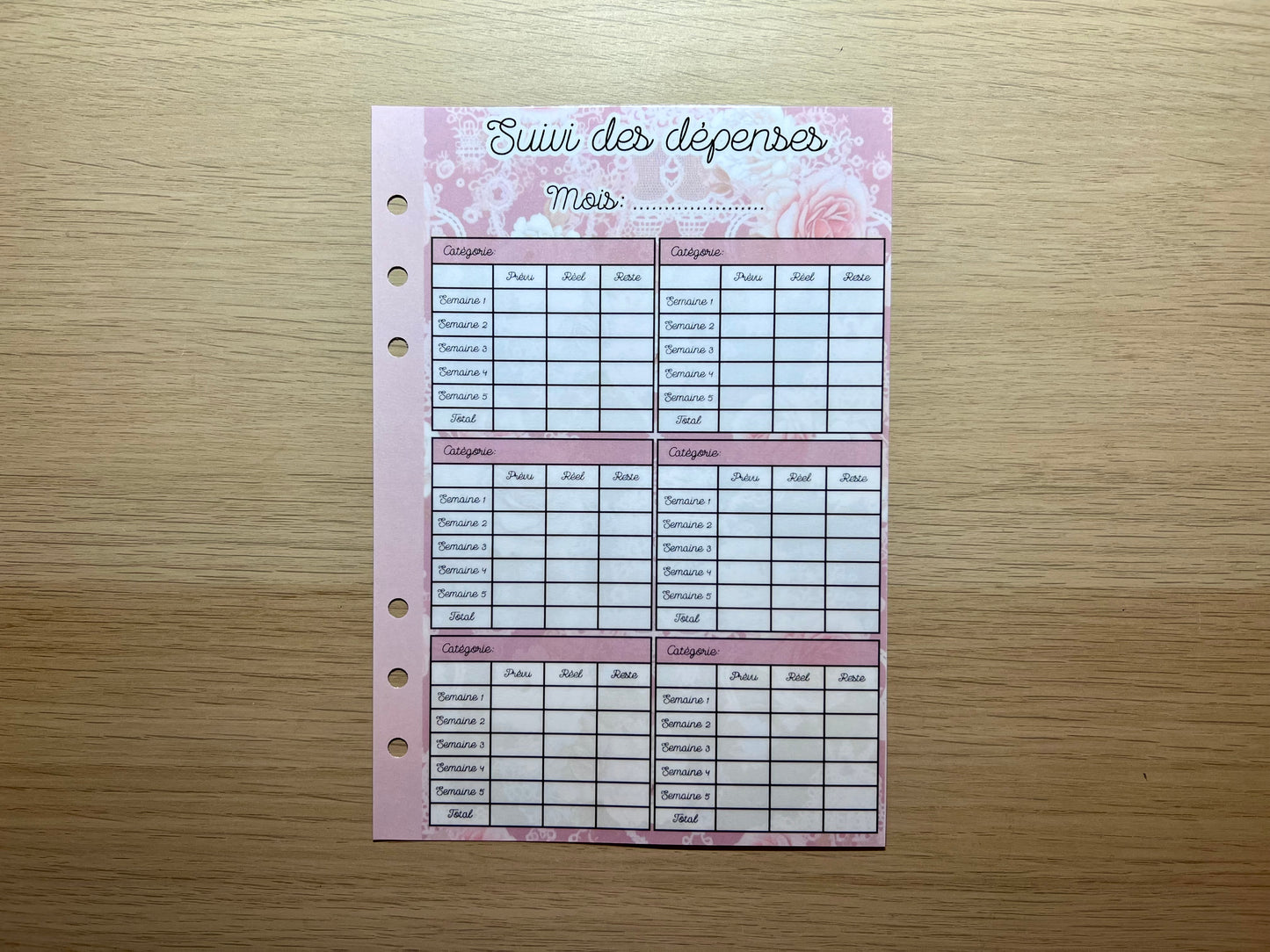 A5 fiche suivi des dépenses, épargnes etc