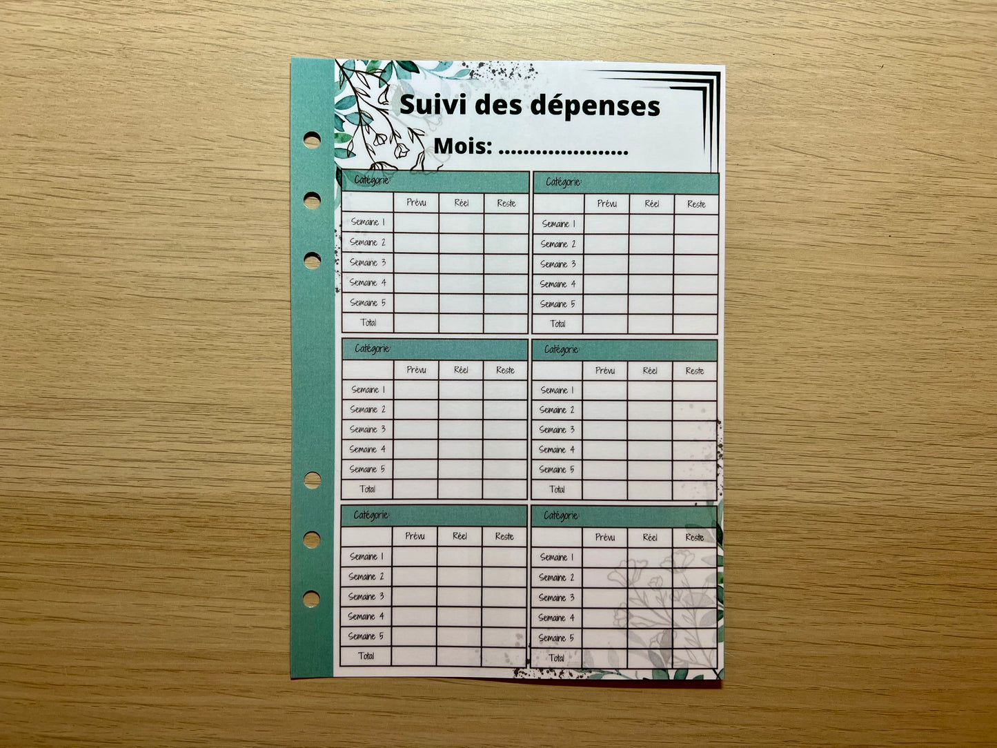 A5 fiche suivi des dépenses, épargnes etc