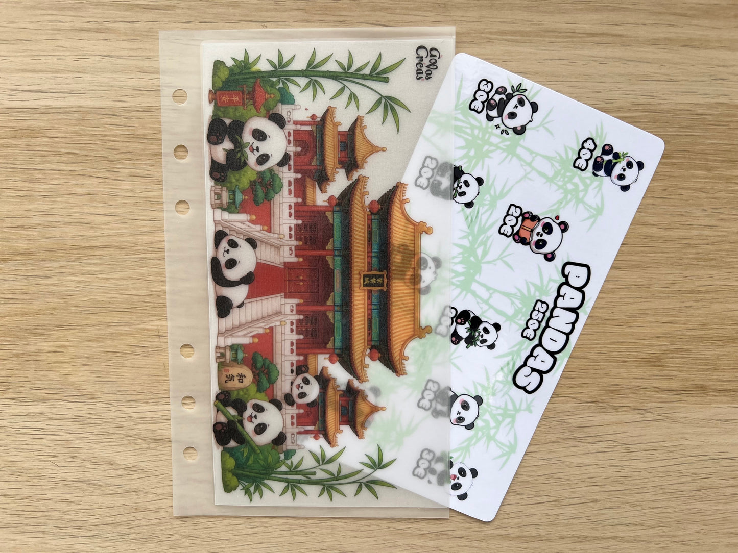 A6 Défi budget pandas