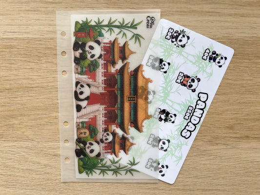A6 Défi pandas