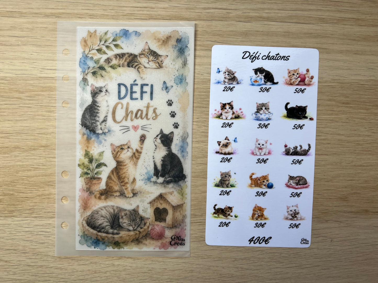 A6 Défi budget chatons