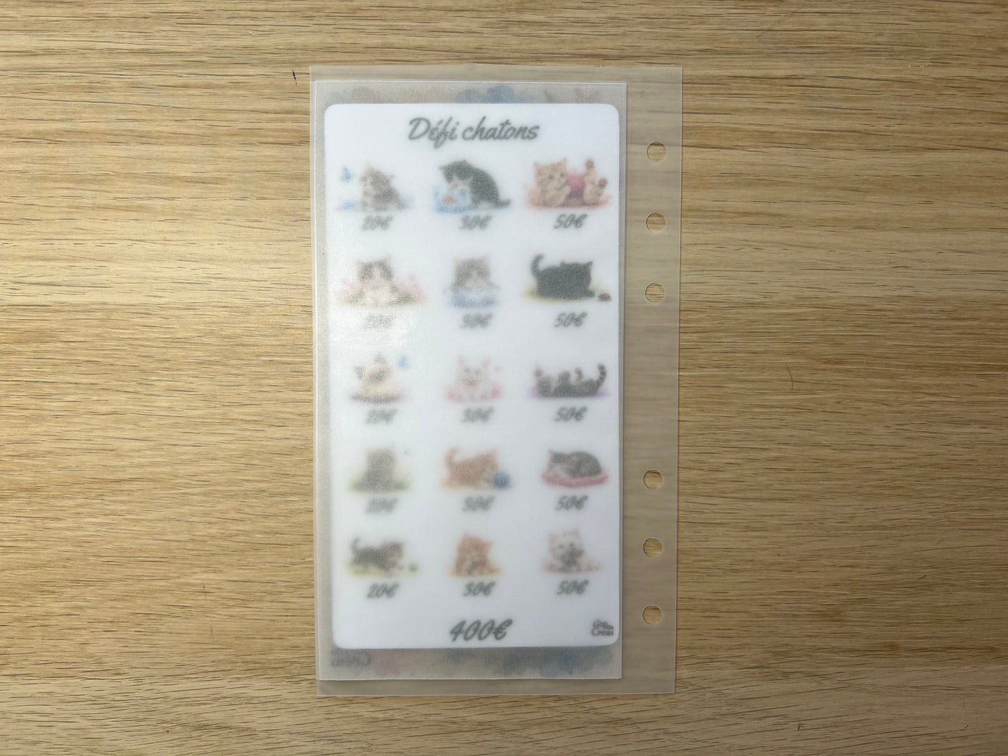 A6 Défi budget chatons
