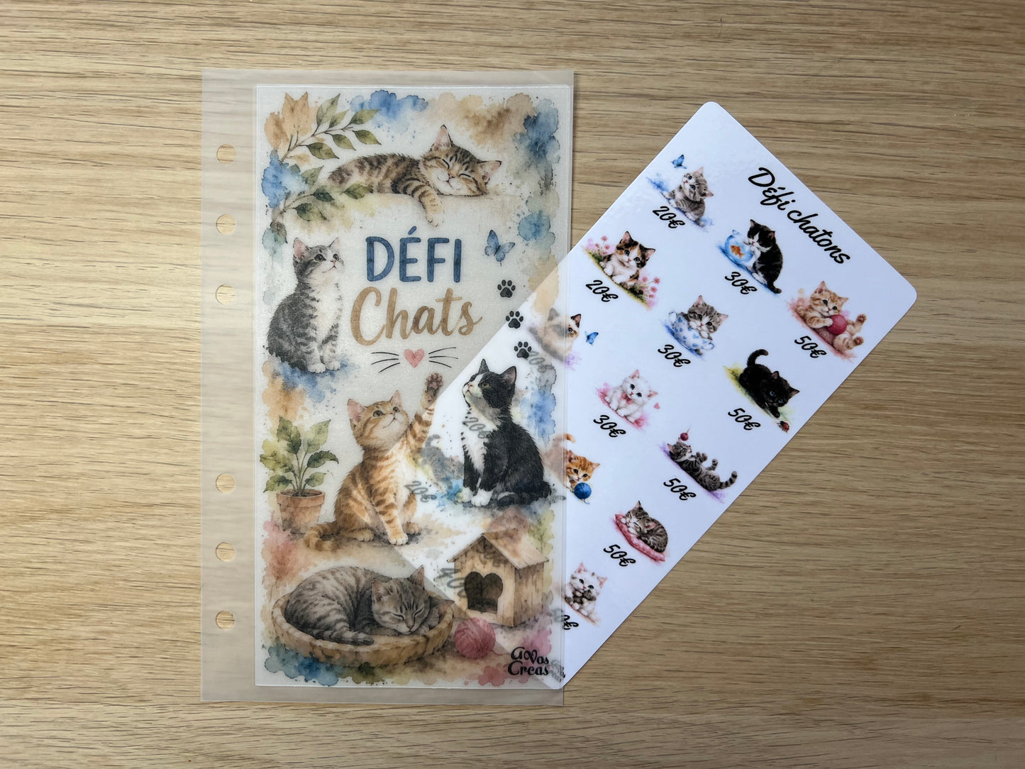 A6 Défi budget chatons