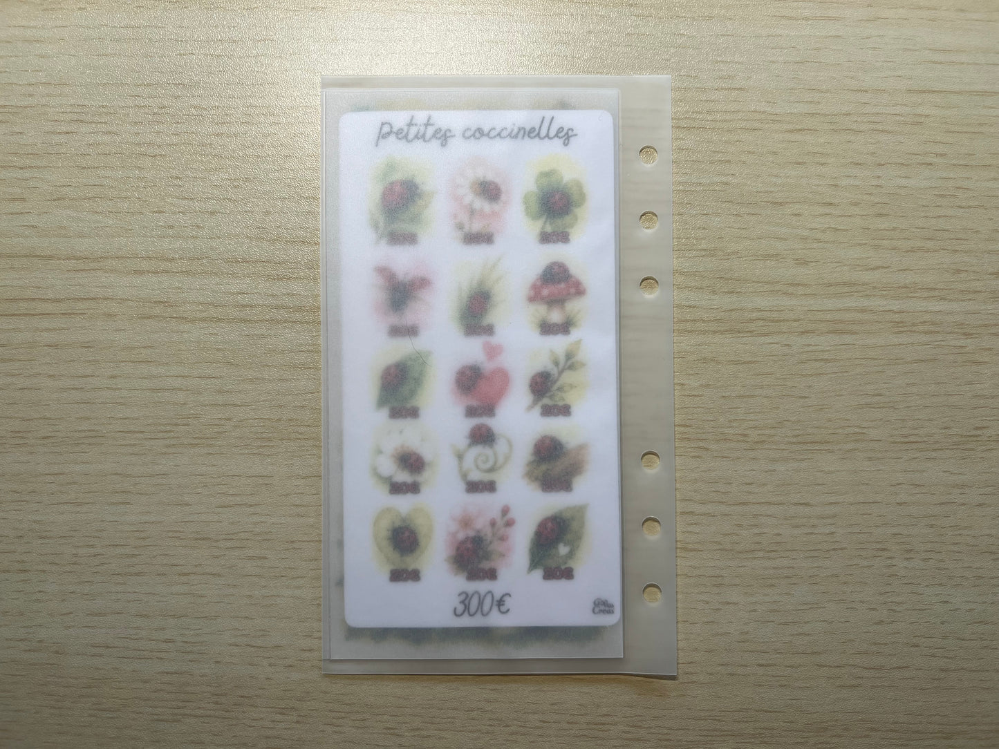 A6 Défi budget coccinelles
