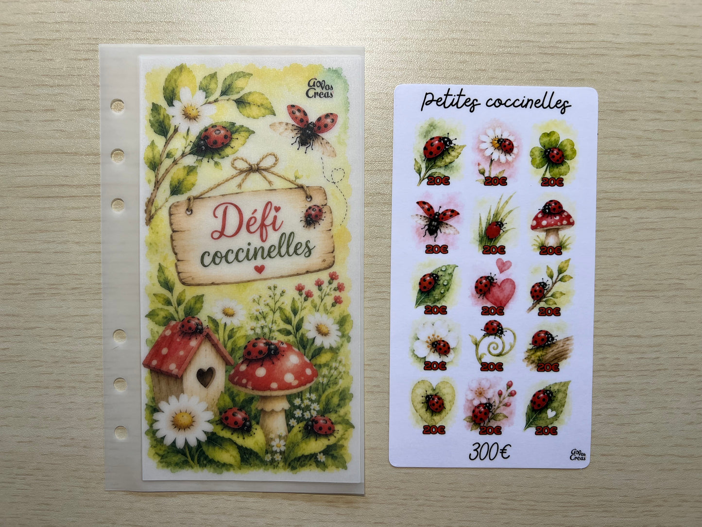 A6 Défi budget coccinelles