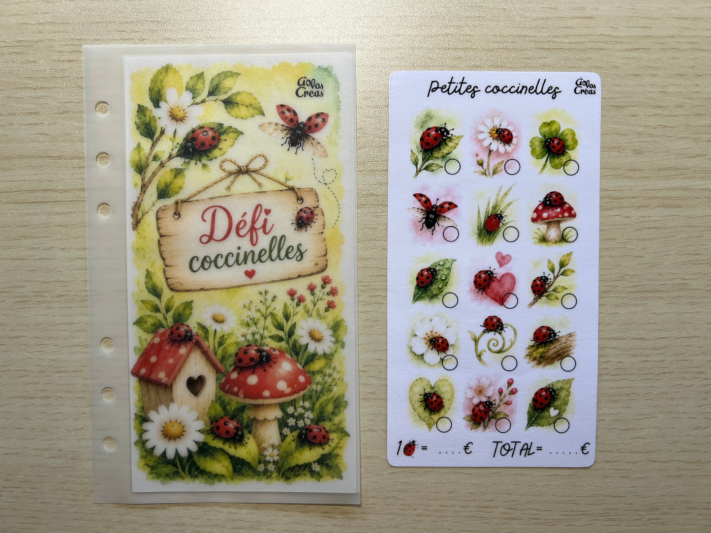 A6 Défi budget coccinelles